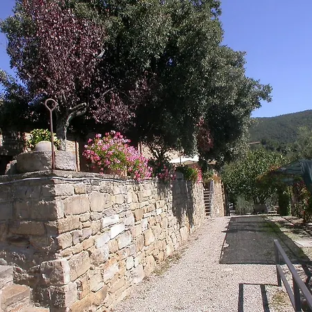 Holiday home Lauro Cortona