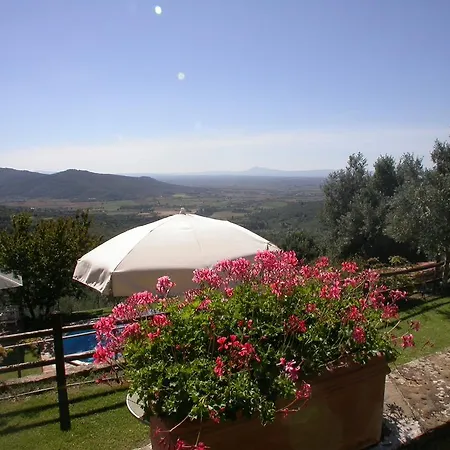 Lauro Cortona