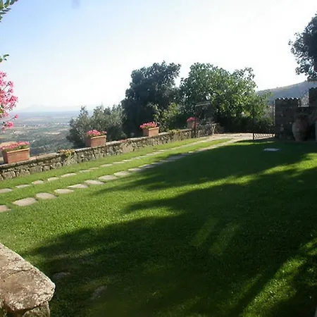 Lauro * Cortona
