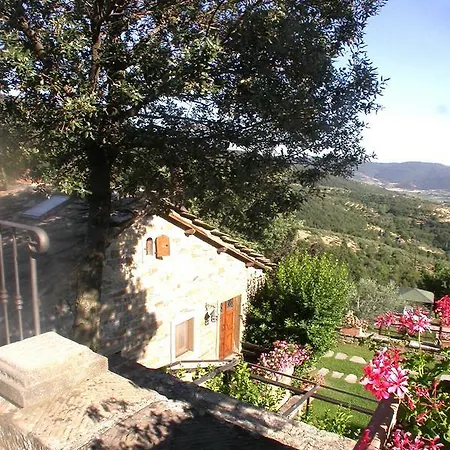 Lauro * Cortona