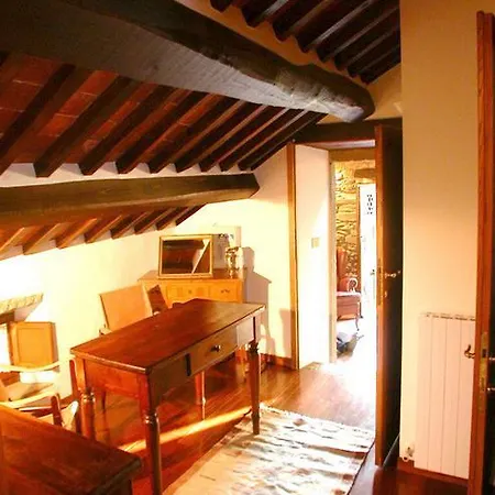 Lauro * Cortona